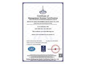环境管理体系认证证书（英文版）